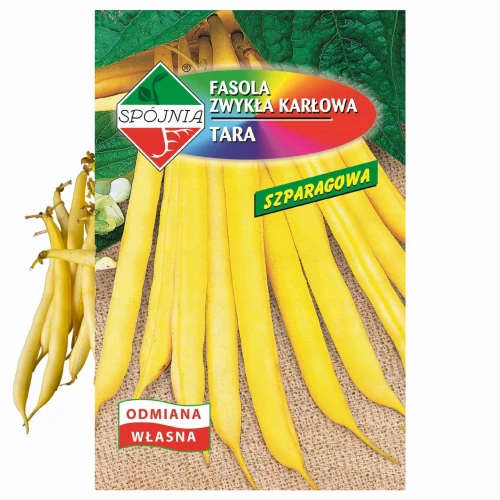 FASOLA ŻÓŁTA TARA SZPARAGOWA KARŁOWA BEZWŁÓKNISTA NASIONA SPÓJNI 50g