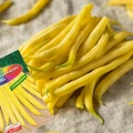 FASOLA ŻÓŁTA TARA SZPARAGOWA KARŁOWA BEZWŁÓKNISTA NASIONA SPÓJNI 50g 6930