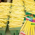 FASOLA ŻÓŁTA TARA SZPARAGOWA KARŁOWA BEZWŁÓKNISTA NASIONA SPÓJNI 50g 6931
