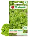 SAŁATA LIŚCIOWA DĘBOLISTNA ZIELONA SALAD BOWL NASIONA LEGUTKO 1g 6970