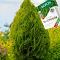 NAWÓZ DO TUI I CYPRYSÓW BIOPON GRANULAT DO THUJE I KRZEWY 3kg na 120 roślin 7024