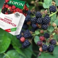 NAWÓZ DO KRZEWÓW OWOCOWYCH TRUSKAWEK MALIN JEŻYN ŻURAWINY BIOPON 1kg / 50m2 7031