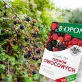 NAWÓZ DO KRZEWÓW OWOCOWYCH TRUSKAWEK MALIN JEŻYN ŻURAWINY BIOPON 1kg / 50m2 7032