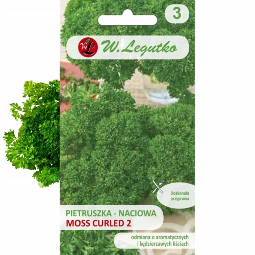 PIETRUSZKA NACIOWA KĘDZIERZAWA MOSS CURLED 2 NASIONA W.LEGUTKO 5g