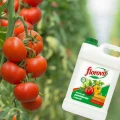 NAWÓZ PŁYNNY FLOROVIT DO POMIDORÓW I PAPRYKI 3L - 2,8KG KONCENTRAT 4N-5P-8K 7169