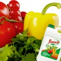 NAWÓZ PŁYNNY FLOROVIT DO POMIDORÓW I PAPRYKI 3L - 2,8KG KONCENTRAT 4N-5P-8K 7170