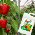 NAWÓZ PŁYNNY FLOROVIT DO POMIDORÓW I PAPRYKI 3L - 2,8KG KONCENTRAT 4N-5P-8K 7174