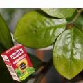 POLYSECT BUKSZPAN SUBSTRAL ZWALCZA ĆMĘ BUKSZPANOWĄ ROŚLINY OZDOBNE 100ML 7180
