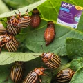 MOSPILAN PREPARAT OWADOBÓJCZY MSZYCE STONKI OPUCHLAKI SKUTECZNY 20 SP 220G 7240
