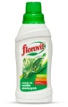 NAWÓZ FLOROVIT DO ROŚLIN ZIELONYCH FIKUSÓW DRACEN JUKI BLUSZCZU PŁYN 500ml 7265