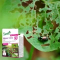CORAGEN 200 SC SUMIN NA STONKĘ ZIEMNIACZANĄ OWOCÓWKI BIELINKI ZWÓJKI 30ml 7323