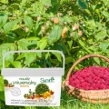 JESIENNY NAWÓZ UNIWERSALNY SUMIN DO DRZEW KRZEWÓW OWOCÓW KWIATÓW 2,5KG 82m² 7437