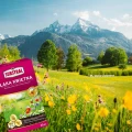ŁĄKA KWIETNA TRAWA DEKORACYJNA Z KWIATAMI NASIONA SUBSTRAL 800g NA 80 m² 7509