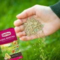 ŁĄKA KWIETNA TRAWA DEKORACYJNA Z KWIATAMI NASIONA SUBSTRAL 800g NA 80 m² 7512