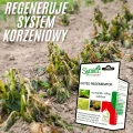 GOTEO REGENERATOR SUMIN DLA ROŚLIN I TRAWY PRZY SUSZY I PRZYMROZKACH 50ml 7601