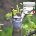 MAŚĆ OGRODNICZA NA RANY PO CIĘCIU GAŁĘZI DO SZCZEPIEŃ DRZEW SUMIN 250g 7630