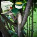MAŚĆ OGRODNICZA NA RANY PO CIĘCIU GAŁĘZI DO SZCZEPIEŃ DRZEW SUMIN 100g 7638
