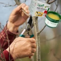 MAŚĆ OGRODNICZA NA RANY PO CIĘCIU GAŁĘZI DO SZCZEPIEŃ DRZEW SUMIN 60g+paski 7650