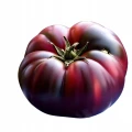 POMIDOR PRINCE BLACK WYSOKI NASIONA POMIDORÓW CZARNE POMIDORY PLANTICO 0,2g 7658