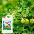 NAWÓZ UNIWERSALNY WIELOSKŁADNIKOWY FLOROVIT INCO PŁYNNY 5L NA 1200L WODY 7666