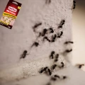 SUBSTRAL PUŁAPKA PRZECIWKO MRÓWKOM ZWALCZA GNIAZDA SKUTECZNY 2X5G 8013
