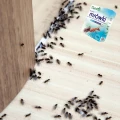 PROSZEK NA MRÓWKI W DOMU I NA ZEWNĄTRZ TRUTKA SILNA TRUCIZNA SUMIN 1KG 8036