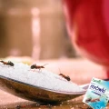 PROSZEK NA MRÓWKI W DOMU I NA ZEWNĄTRZ TRUTKA SILNA TRUCIZNA SUMIN 1KG 8039