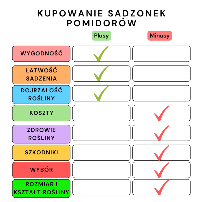 Kupowanie sadzonek pomidorów