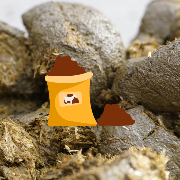 Kozi obornik