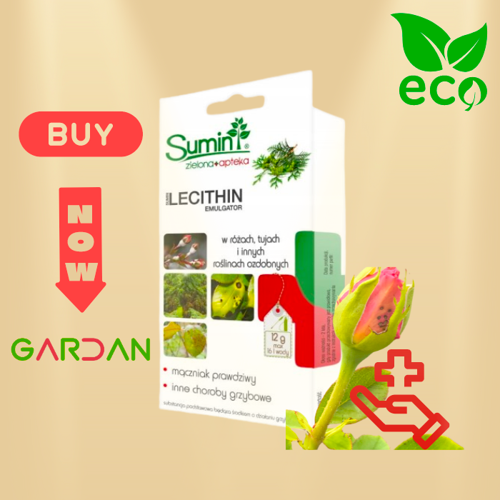 Sumin Lecithin