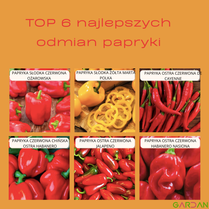 TOP 6 najlepszych odmian papryki
