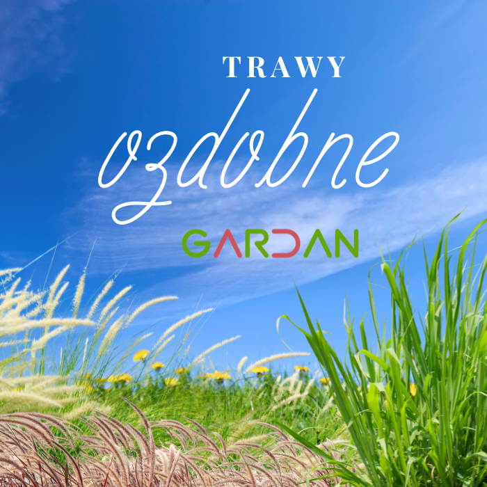 Trawy ozdobne