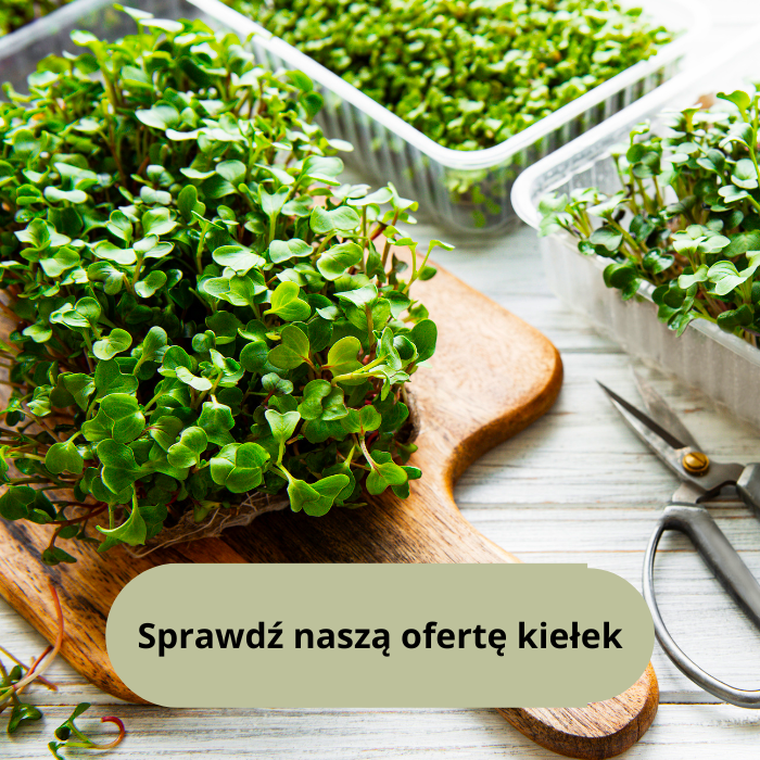 gardan rodzaje kiełek