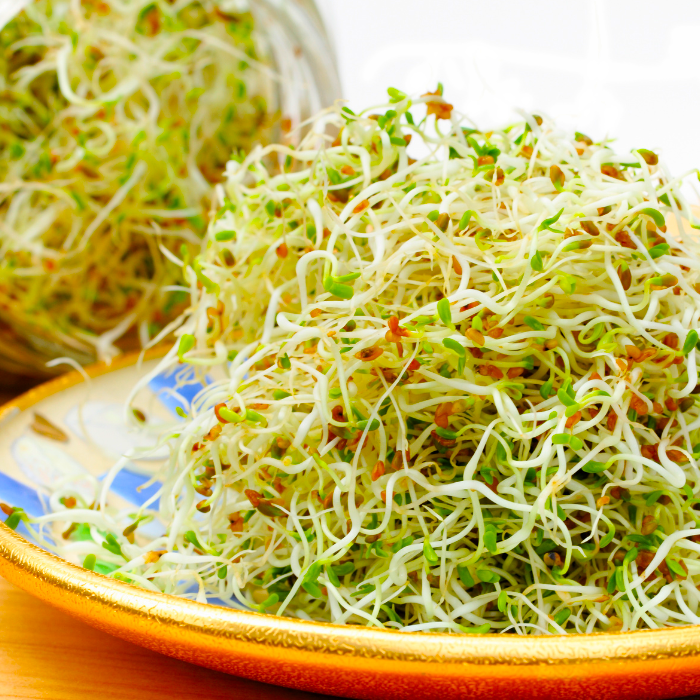     6 / 5 000 Wyniki tłumaczenia Tłumaczenie sprouts